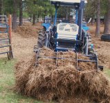 Salaras field -pine needle removal 001.jpg