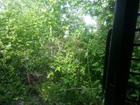 20130525_165814.jpg