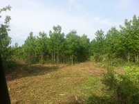 20130525_171134.jpg