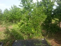 20130525_171138.jpg