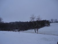 DSC00456.jpg