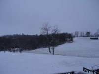 DSC00457.jpg