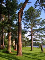 IMG_20130616_183106.jpg