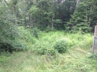 IMG_3617.jpg