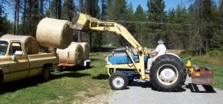 Hay and Lilly Sept 2011 006.jpg