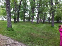 IMG_4784.jpg