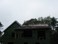 image-4154878602.jpg