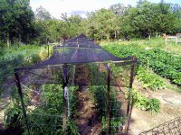 ShadeCloth-2a.jpg