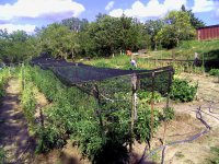 ShadeCloth-1a.jpg