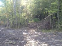 IMG_0078.jpg IMG_0078.jpg