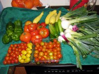 MorningVeggieHaul-1.jpg