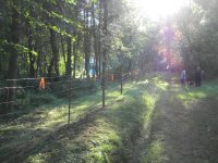 8-5-13 NEW FENCE 2.jpg