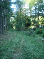 8-5-13 NEW FENCE 3.jpg