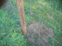 8-5-13 NEW POST.jpg
