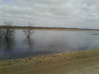 0502131641.jpg