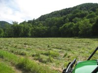 Field toward the White River.jpg