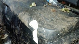 Bear Bites Seat #1.JPG