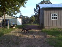 dirtwork behind shop.JPG