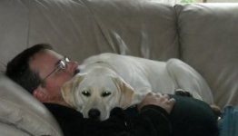 Sunny Nap Enforcer.jpg