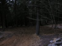 DSCN3949.jpg
