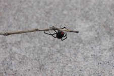 IMG_4812.jpg