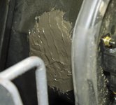 rat chew 4.jpg