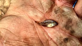 IMG_20130807_151242_510.jpg
