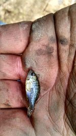 IMG_20130807_151306_135.jpg