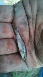 IMG_20130807_151553_170.jpg