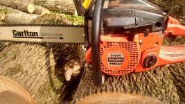 IMG_20130807_165055_917.jpg