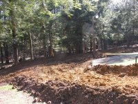 DSCN3916.jpg