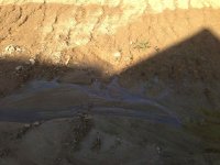 IMG_2836.jpg