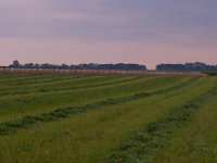 IMG-20130714-00325.jpg IMG-20130714-00325.jpg