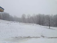 IMG_2415.jpg