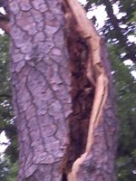 IMG_20130622_184324.jpg