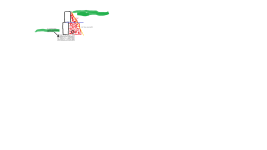 wall.png