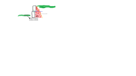 wall.png