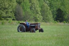 On the Farm 011 (1024x678).jpg