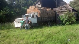 Horses1 022.jpg