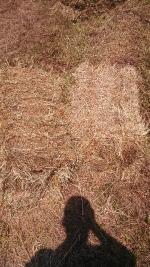 ForumRunner_20130623_194756.png