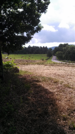 ForumRunner_20130623_194814.png