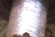 0603131110c.jpg