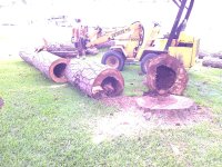 IMG_20130624_092502.jpg
