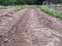 5-15-OkraPlanted.jpg