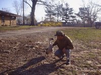 6-36700-goose2.JPG