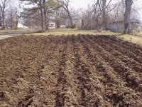 6-37009-garden1.JPG