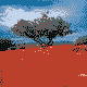 35-109004-nealtbn1.gif