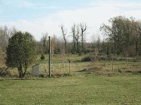 263120-byard.jpg