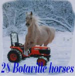 1-37514-28snowhorses.jpg