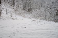35-217892-MyPictures0001web.jpg